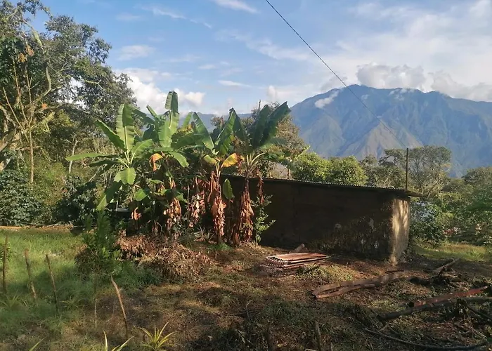 Lodge Jungle Quillabamba Included Echarate