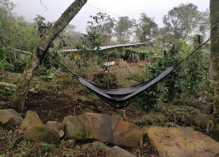 Lodge Jungle Quillabamba Included