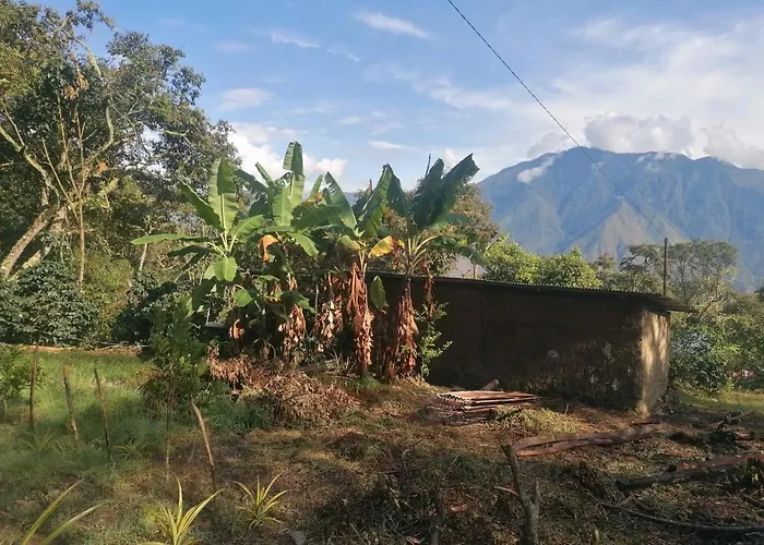 Lodge Jungle Quillabamba Included Echarate